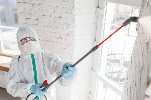 Best Biohazard Mold Removal  in Pines Lake, NJ