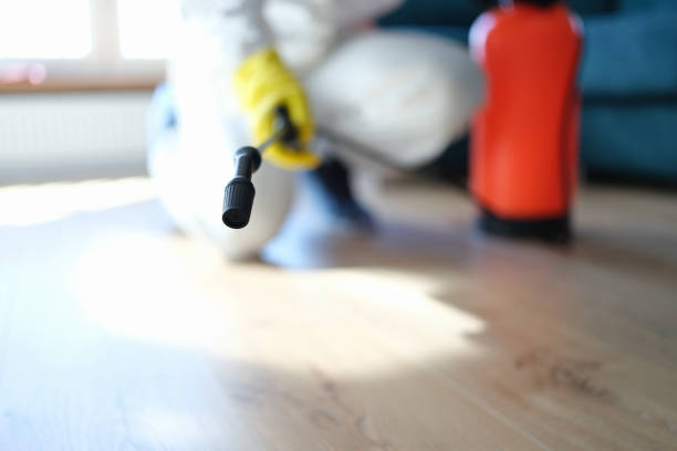 Best Water Damage & Mold Remediation  in Pines Lake, NJ